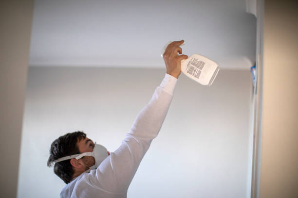 Best Mold Testing and Inspection Services in Stanleytown, VA