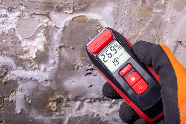Best Post-Remediation Services in Stanleytown, VA