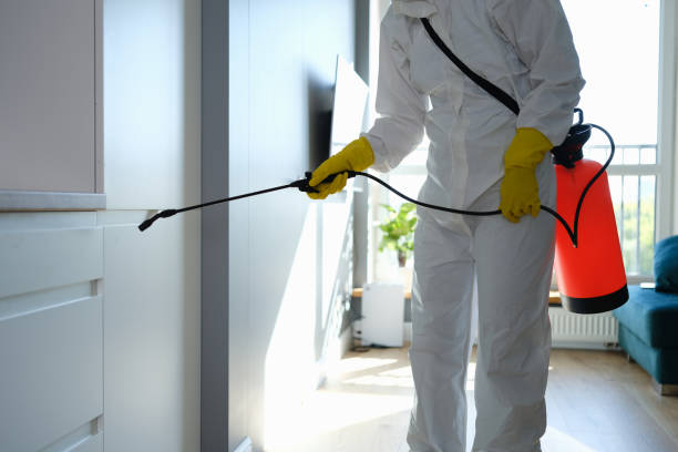 Best Industrial Mold Remediation in Stanleytown, VA